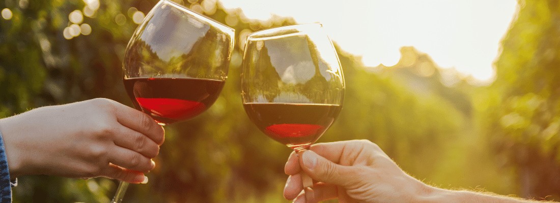 Aglianico Wine: All Characteristics